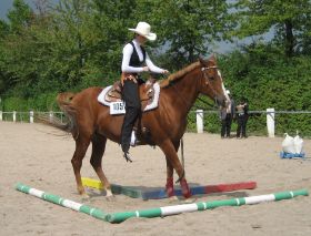 Schutterwald